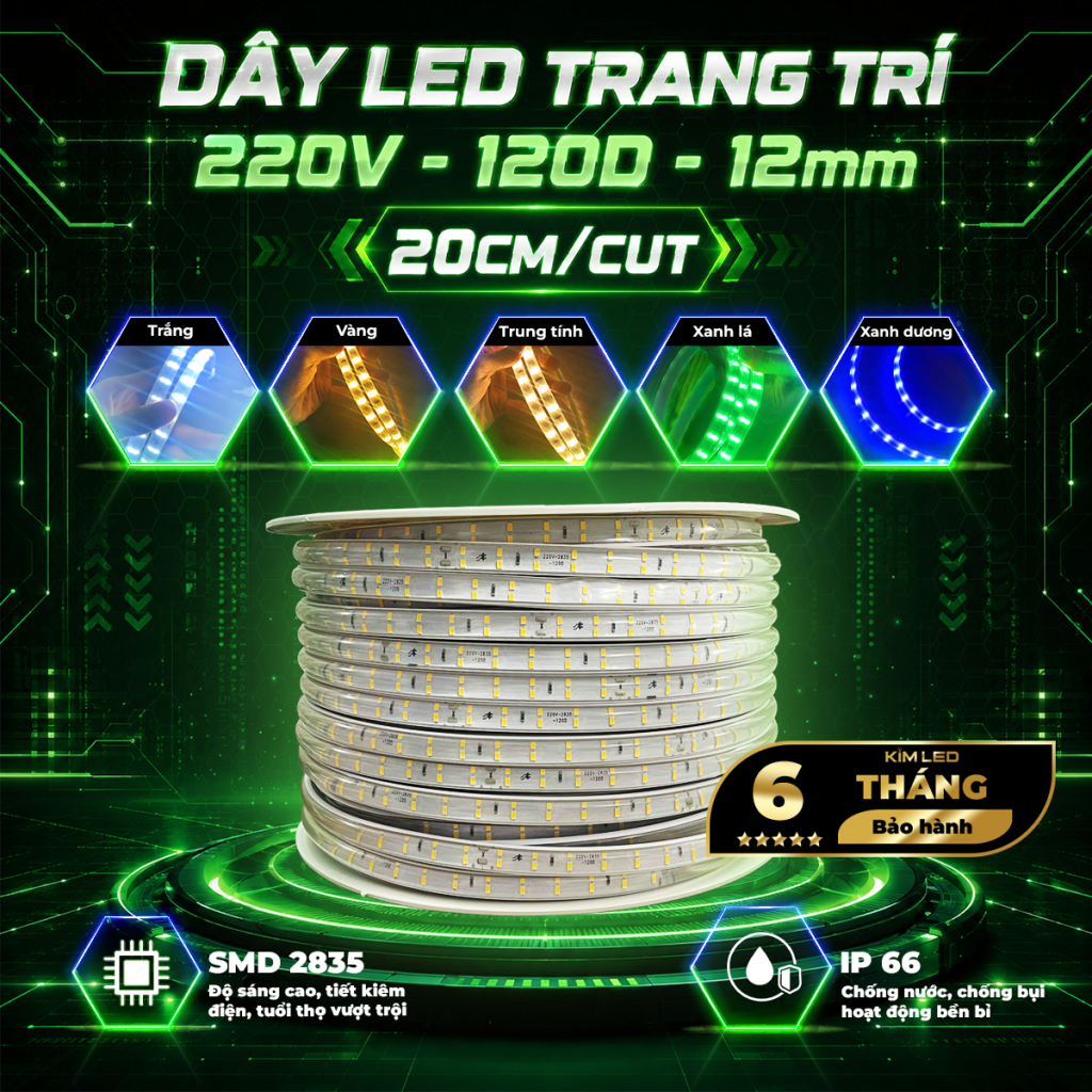 LED 100M – 2 DÃY LED