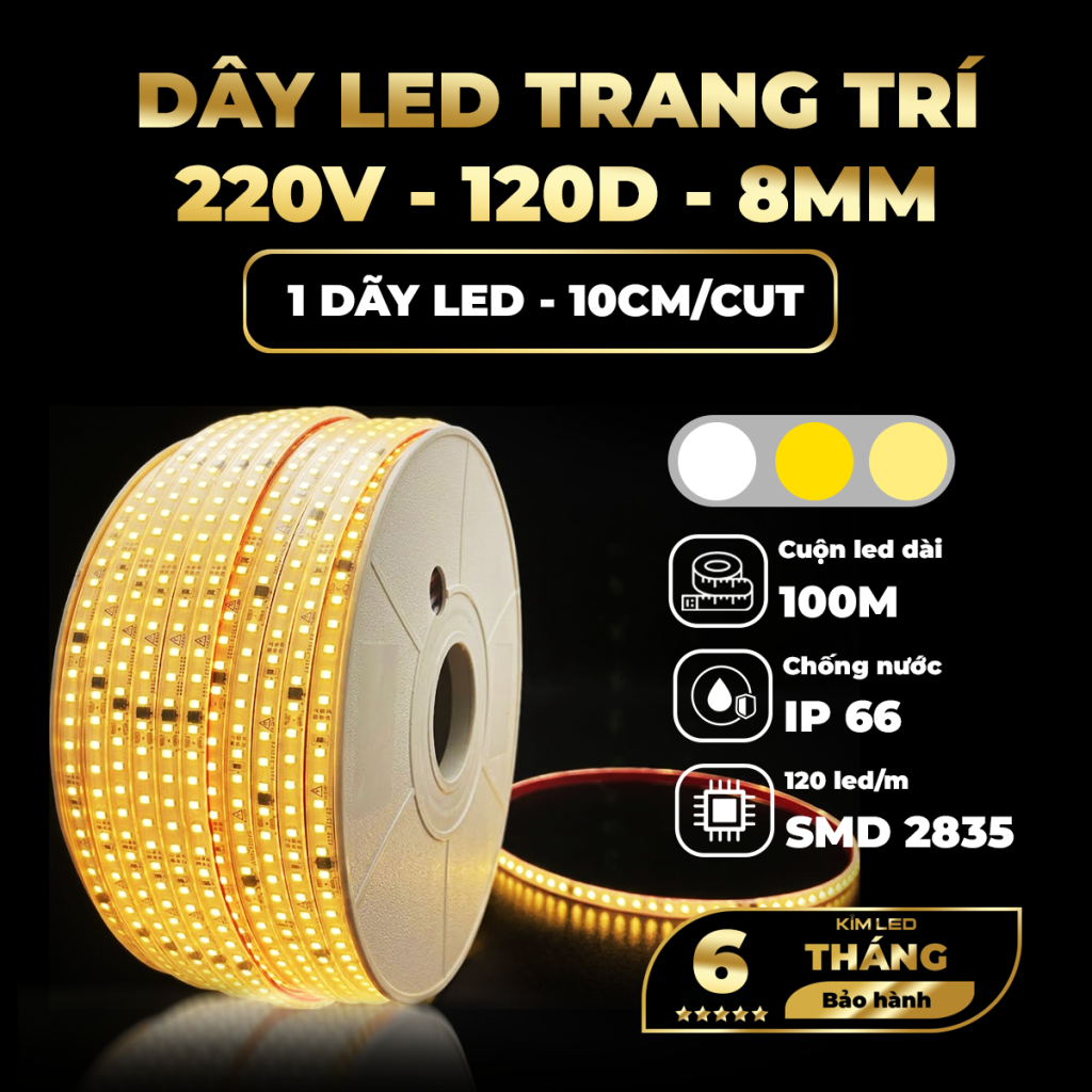 LED 100M – 1 DÃY LED