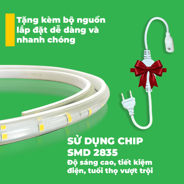 LED 100M – 2 DÃY LED