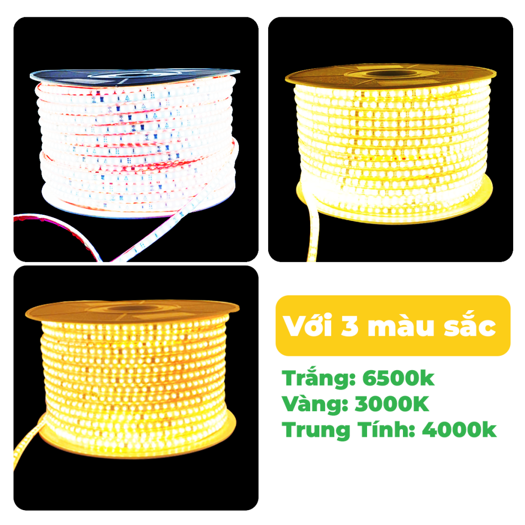 LED 100M – 2 DÃY LED