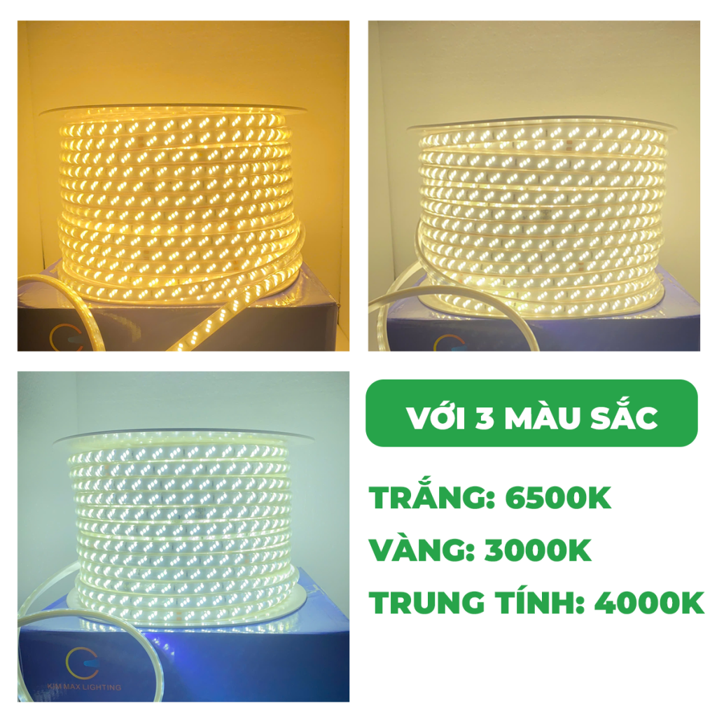 LED 100M – 3 DÃY LED