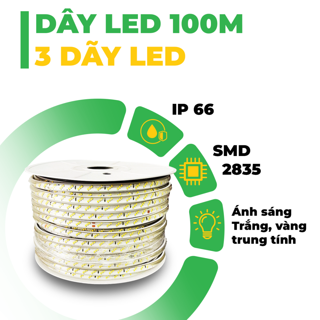 LED 100M – 3 DÃY LED