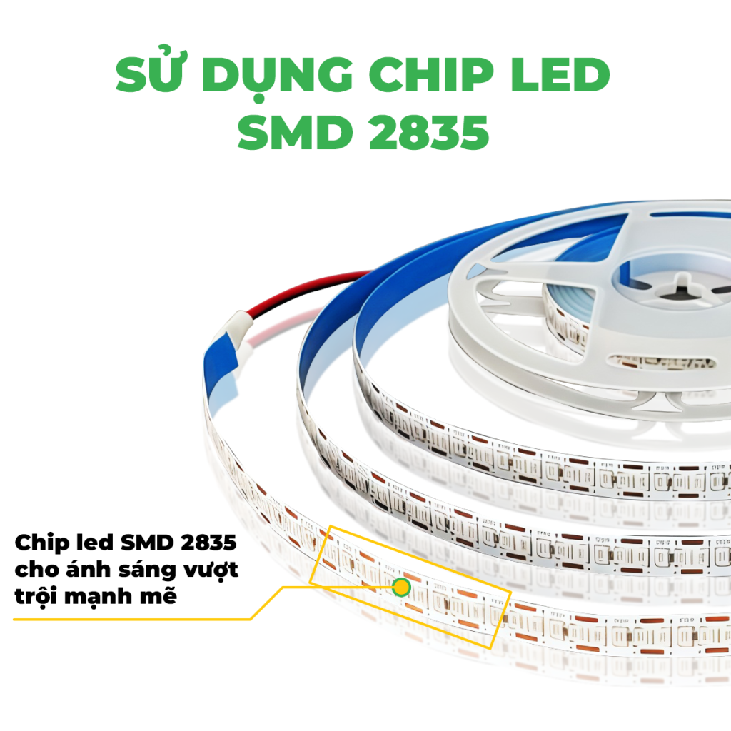 LED 5M – 120D