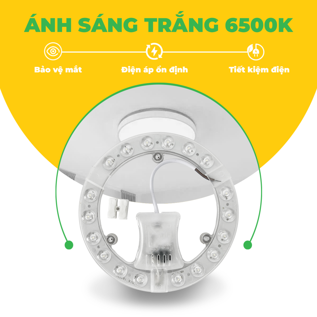 BÓNG LED VÒNG