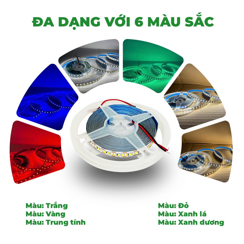 LED 5M – 240D