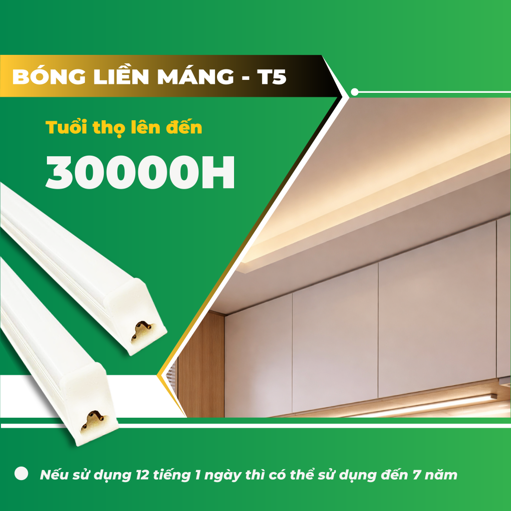 BÓNG LIỀN MÁNG T5