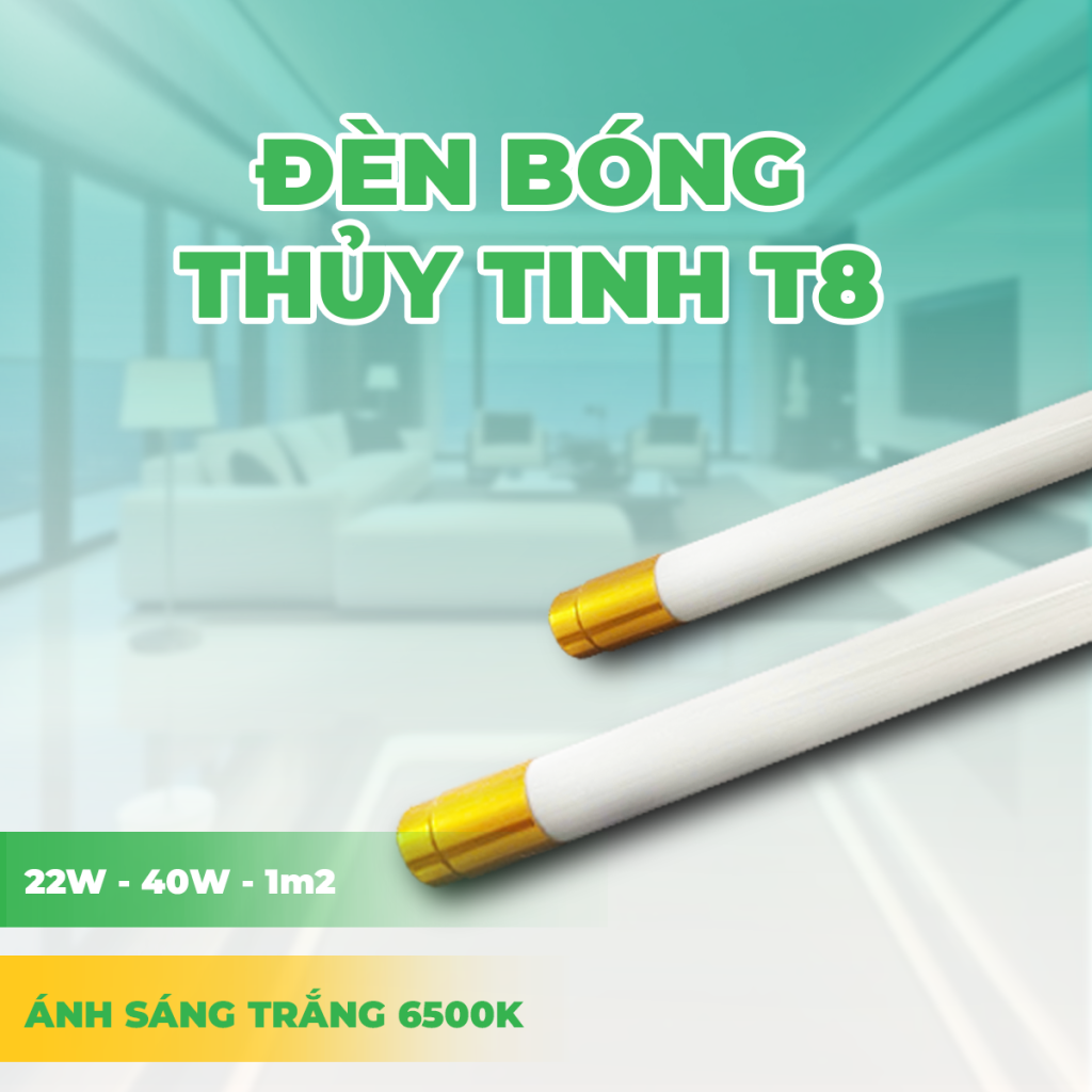 BÓNG THỦY TINH