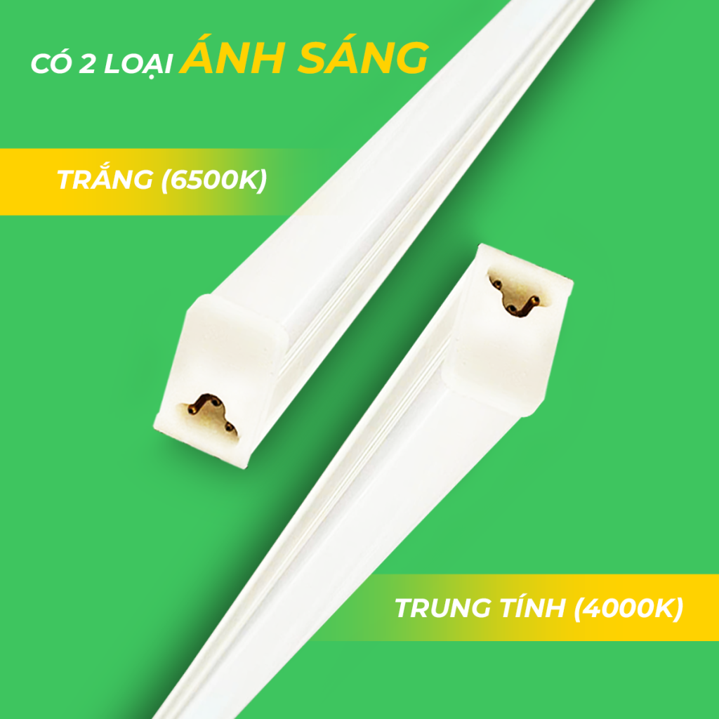 BÓNG LIỀN MÁNG T5